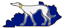Kentucky Greyhound Placement —Louisville Kentucky Greyhound Adoption